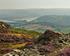 Click to go to Conwy page